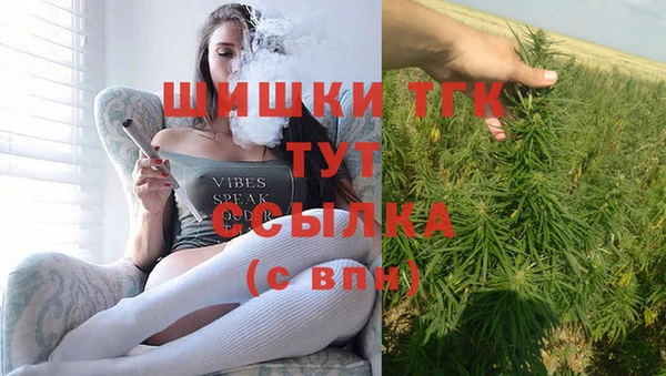 гидропоника Богданович