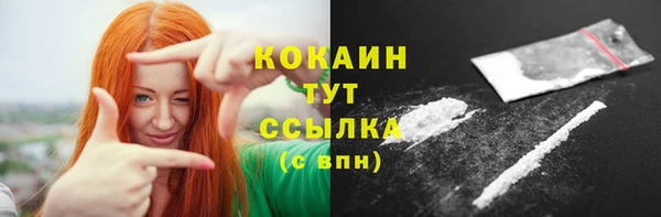 дживик Богородицк
