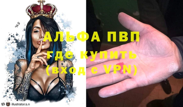 дживик Богородицк